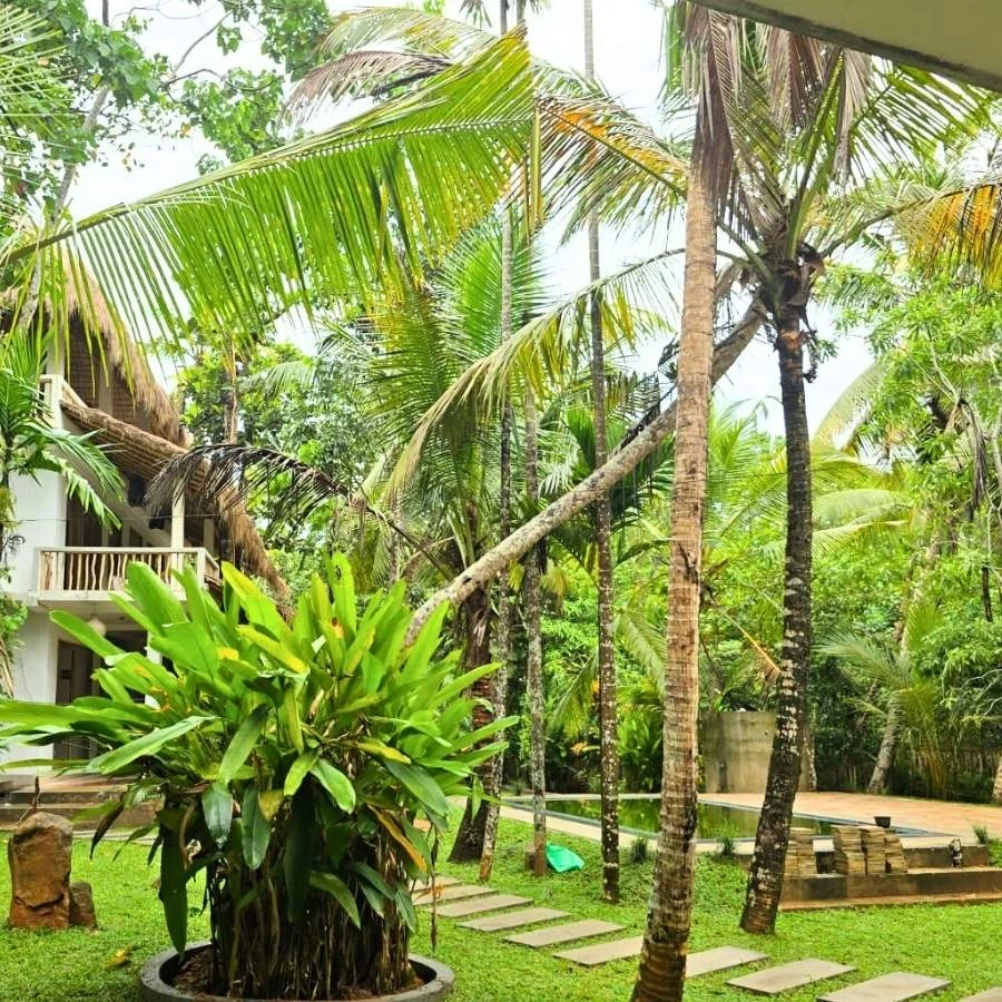 Unterkunft in Hikkaduwa, Ansicht 5