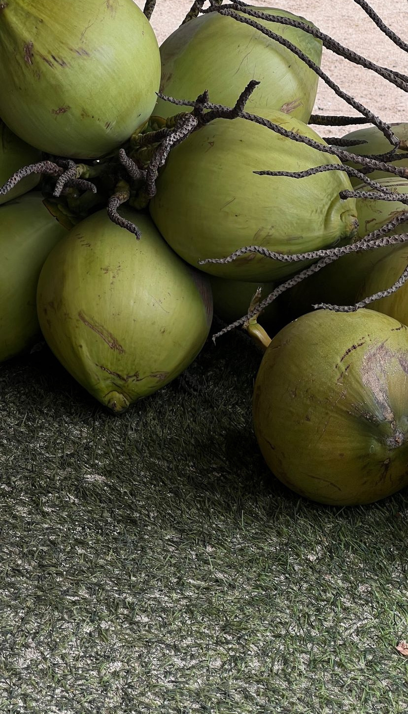 Februar in Sri Lanka