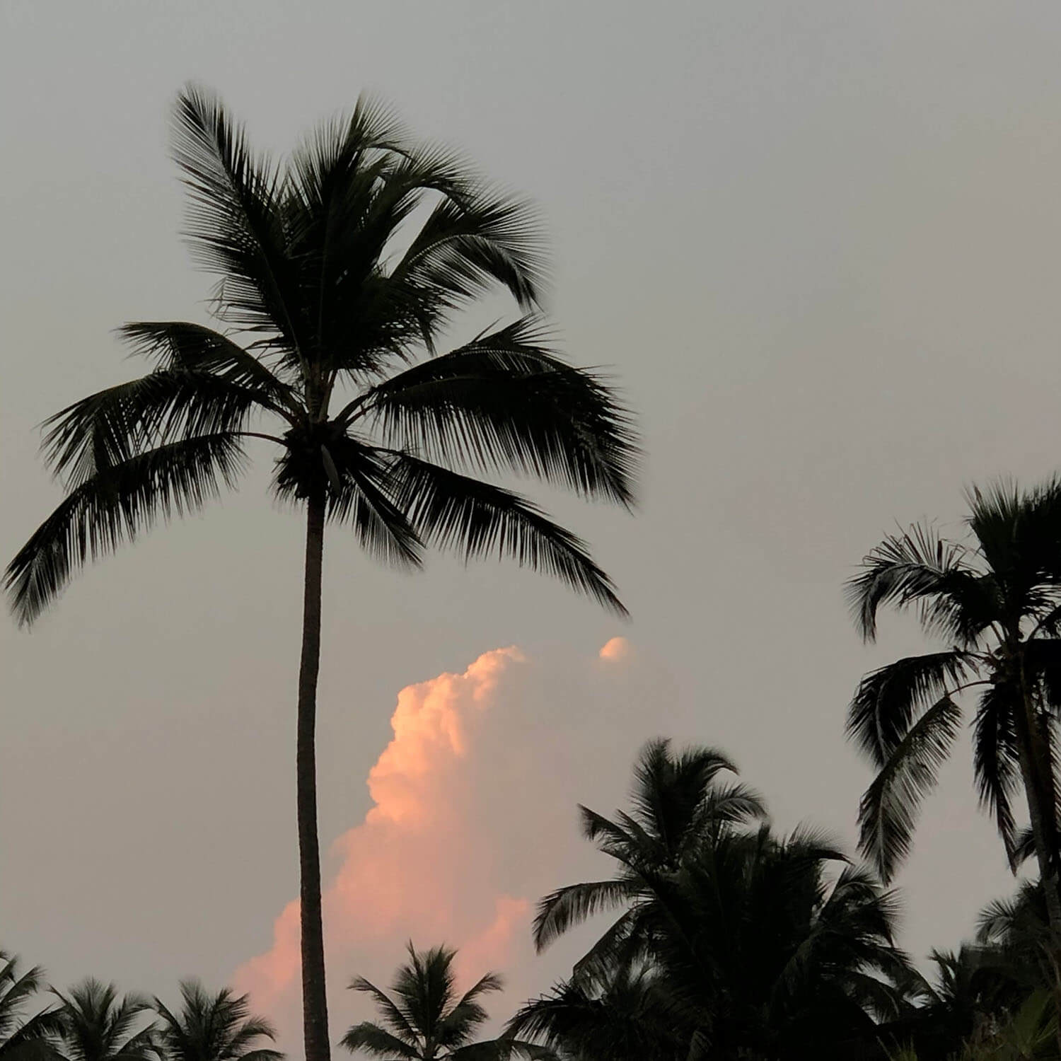 Vista al océano desde la costa